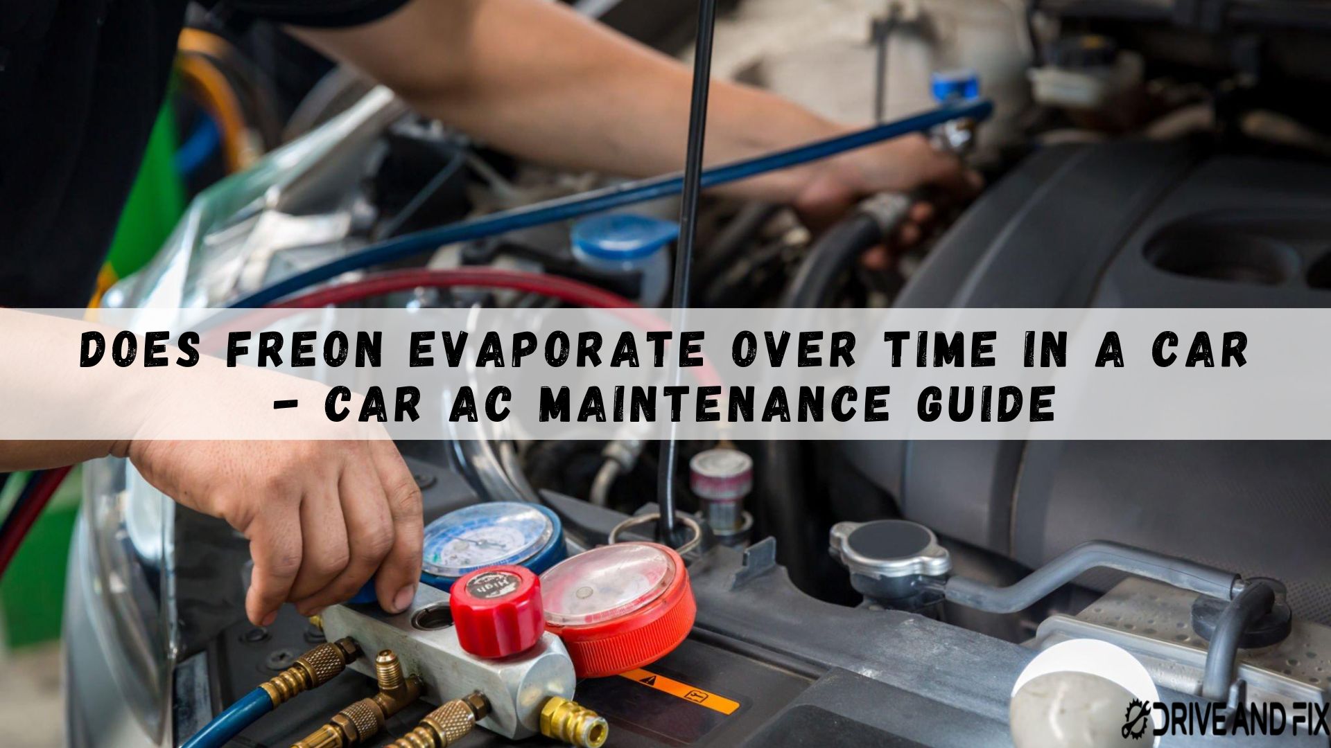 Does Freon evaporate over time in a car
